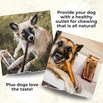 Bully Bunches Premium 6 Inch Thick Odor-Free Bully Sticks for Small & Medium Dogs - Long Lasting Chews for Oral Care- All Natural & Single Ingredient, 100% Beef Dog Treat, Rawhide Free (20 Pk)