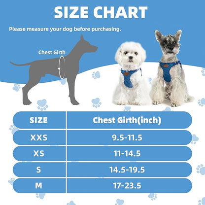 PUPTECK Dog Harness and Leash Set Small Sized, Step-in Cute Puppy Harness, Soft Lightweight Padded Vest, Escape Proof No Pull Pet Harnesses Easy for Walking, Blue, S