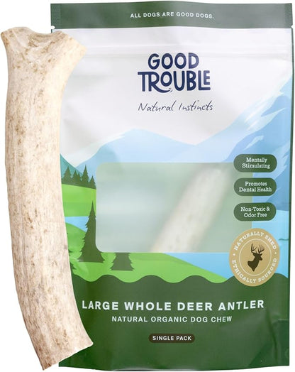 Good Trouble Premium Deer Antlers for Large Dogs – 1 Whole Antler Pets - North American Sourced Deer Antlers for Dental Health & Anxiety Relief - Odor-Free & Non-Toxic Chew Bone for Dogs