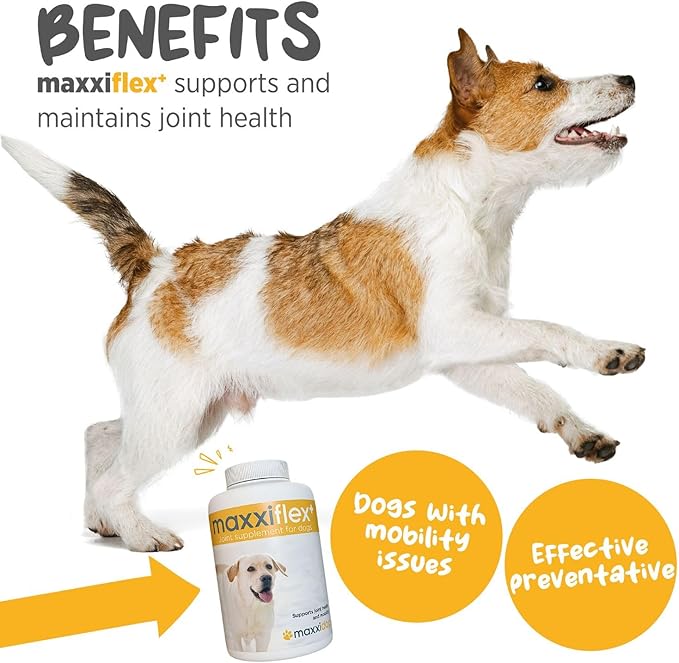 maxxipaws - maxxiflex+ Hip & Joint Supplement for Dogs with Glucosamine, Chondroitin, MSM & Collagen | Mobility, Flexibility & Discomfort Support | Senior, Adult & All Breeds | 60 Tablets