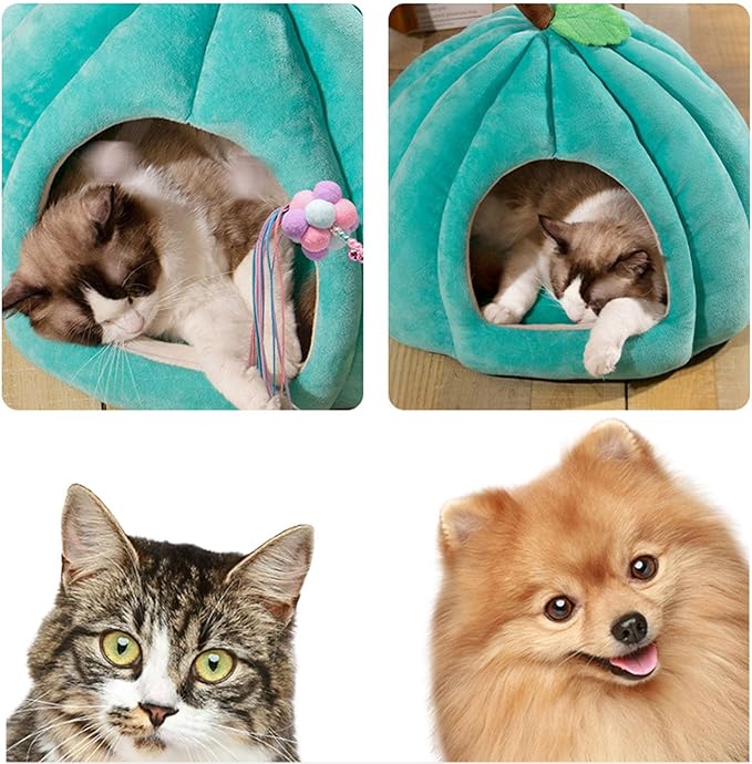 Pumpkin Cat Bed Halloween Pet Bed, Cute Pumpkin Shaped Cat Sleeping Tent Cave House with Removable Washable Cushion Non-Slip Bottom for Kitten Small Dogs (Orange,Within 8.8lb)