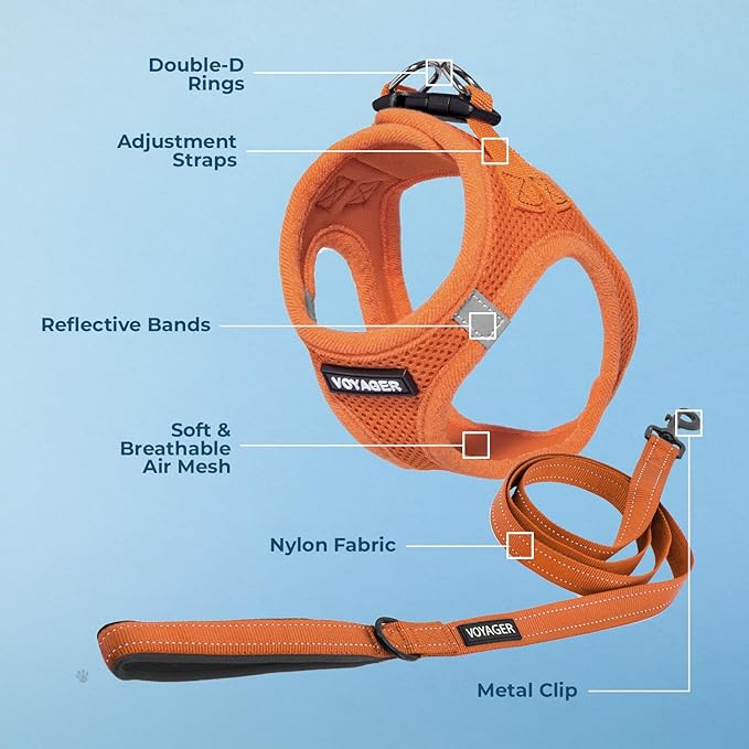 Voyager Step-in Air All Weather Mesh Harness and Reflective Dog 5 ft Leash Combo with Neoprene Handle, for Small, Medium and Large Breed Puppies by Best Pet Supplies - Set (Orange), XL
