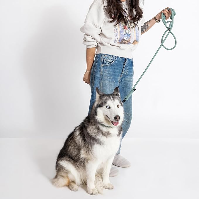 2025 New Edition, Fei & Eve Hand-Braided Dog Leash, 4FT | SP Cotton Material | Heavy Duty Training | Comfort Grip Handle for Small/Medium/Large Dogs, Green