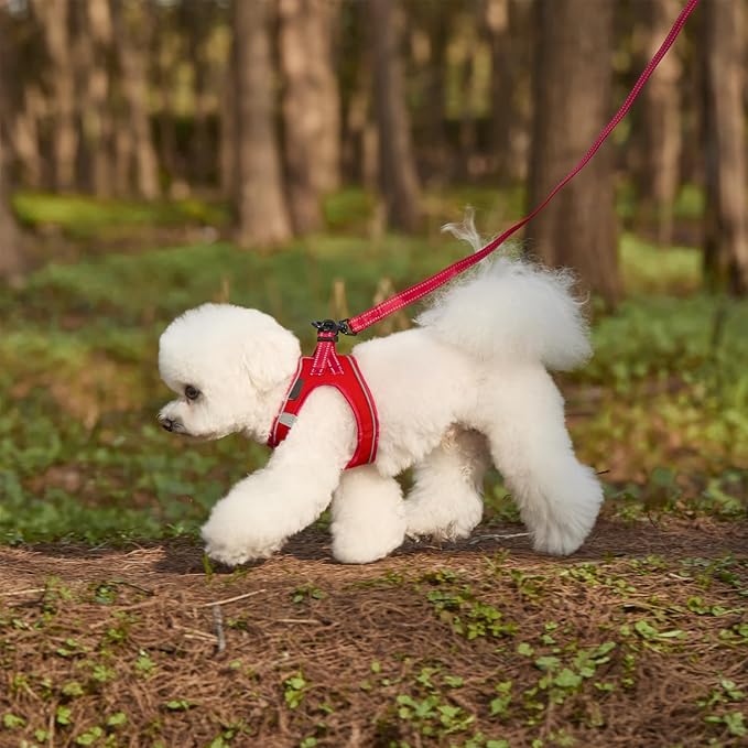 Dog Harness and Leash Set, No Pull Mesh Puppy Harness for Small Medium Sized Dogs, Pet Vest for Walking Running Training, Double D-Rings Reflective Strip