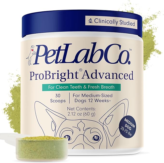 PetLab Co. ProBright Advanced Dental Powder - Dog Breath Freshener - Teeth Cleaning Made Easy – Targets Tartar & Bad Breath - Packaging May Vary - Formulated for Medium Size Dogs