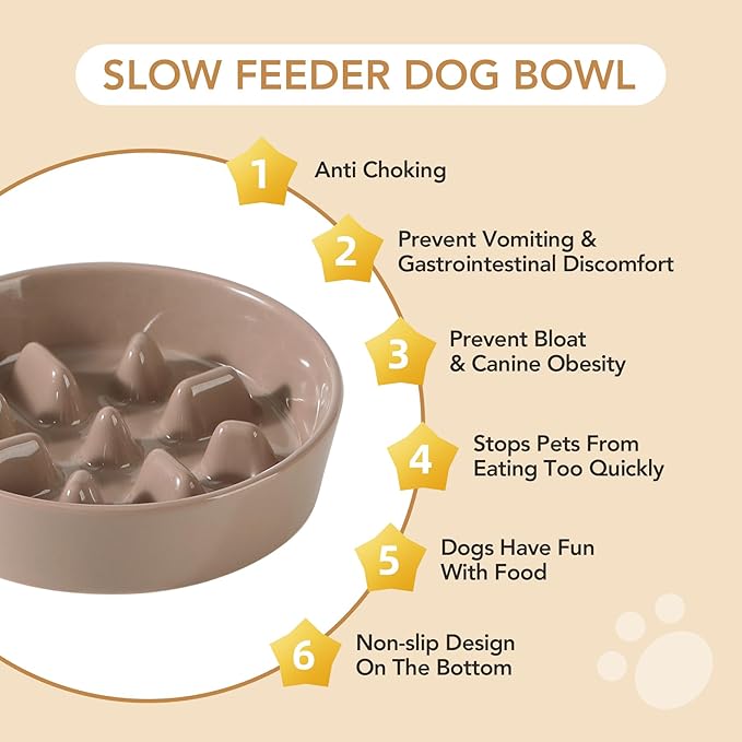 Ceramic 0.9 Cup Dog Bowl Slow Feeder, 6.1inch Slow Pet Food Dish for Small Dog and Cat, Stop Bloat, Preventing Choking(Single Bowl, Brown Coffee)