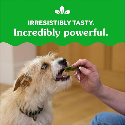 Greenies Original Petite Dental Dog Treats, (4) 30 ct Packs (120 Treats)