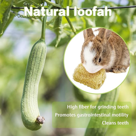 BNOSDM Bunny Chew Toys Natural Loofah 12PCS Bunny Teeth Grinding Toy Rabbit Fiber-Rich Treats Pet Entertainment Accessories for Rabbits Chinchillas Guinea Pig（M）
