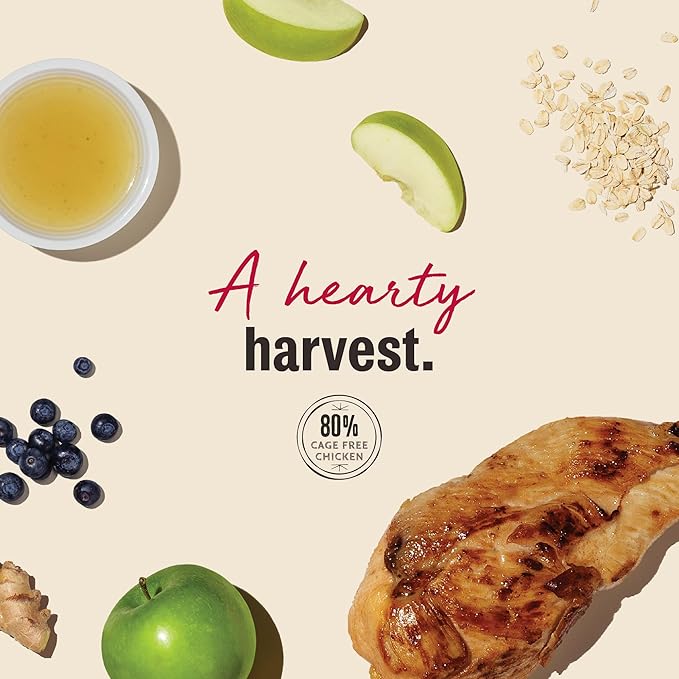 The Honest Kitchen Jerky Harvest Mini Bars: Chicken Recipe With Apples & Blueberries, 4 oz Bag