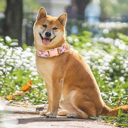 Dog Collar and Leash Set Girls Adjustable Puppy Collars with Floral Bow Tie for Small Medium Large Female Dogs, Pink Flower, S