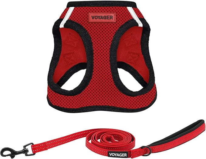 Voyager Step-in Air All Weather Mesh Harness and Reflective Dog 5 ft Leash Combo with Neoprene Handle, for Small, Medium and Large Breed Puppies by Best Pet Supplies - Red/Black Trim, Large