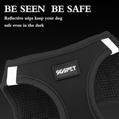 Dog Harness and Leash Set, Adjustable Mesh Puppy Harness, No Pull Soft Breathable Reflective Vest Pet Harnesses for Small to Large Dogs, Cats, Dog Vest Harness for Pets (Black, M)