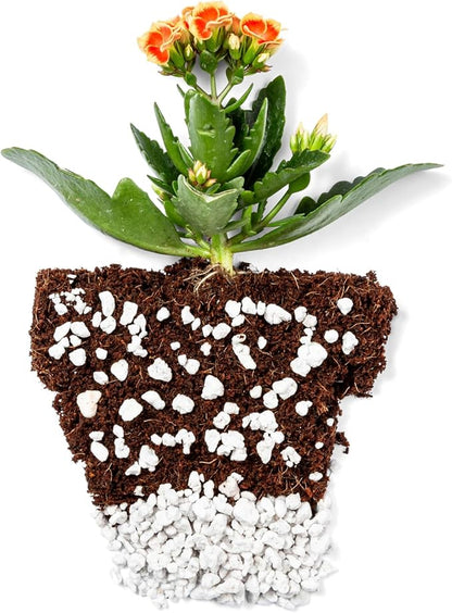 Coco Bliss 650gm Bricks (5-Pack) + Perlite Bliss (8 Qts) - Coco Coir Bricks & Organic Perlite for Plants - Coco Coir Perlite Mix - Organic Coco Coir for Plants - Coconut Coir Bulk Potting Soil Mix