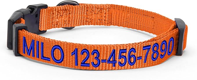 Pawtitas Personalized Dog Collar Extra Small Dog Collar Embroider with Name Phone Number Puppy Collar Adjustable Customized Collar for Extra Small Dogs Breeds Puppy Orange Dog Collar