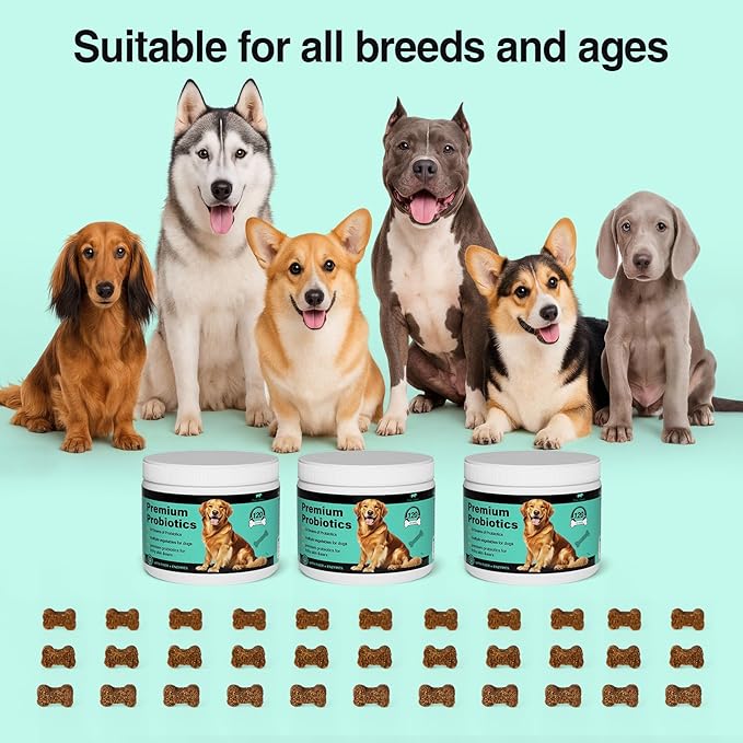 Dog Probiotics and Multivitamin Chews for Gut, Skin and Coat Health, Immune Support Supplement for All Dogs, Pork Flavor Soft Chews, 120 Count, Idea