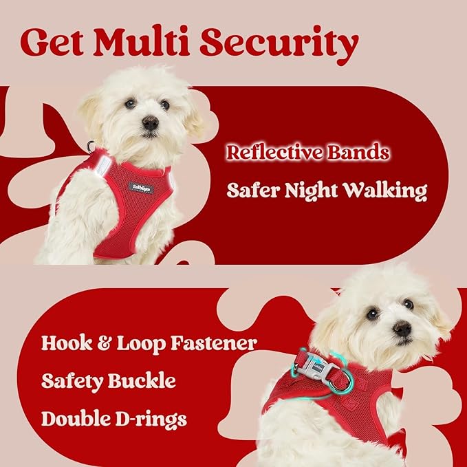 rabbitgoo Small Dog Harness, Step-in Soft Mesh Puppy Vest with Safety Buckle, Breathable Reflective Pet Harness for Extra Small Dogs, Red XXS