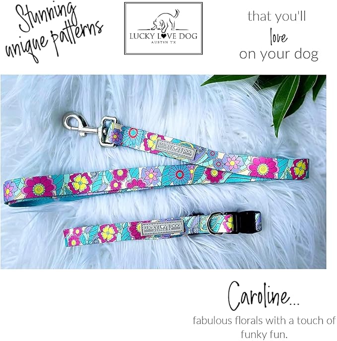 Lucky Love Dog Collar and Leash Combo, Cute Collar and Leash Set for X-Small Female Dogs, Part of Purchase Donated to Rescue (XS, Caroline, Combo)