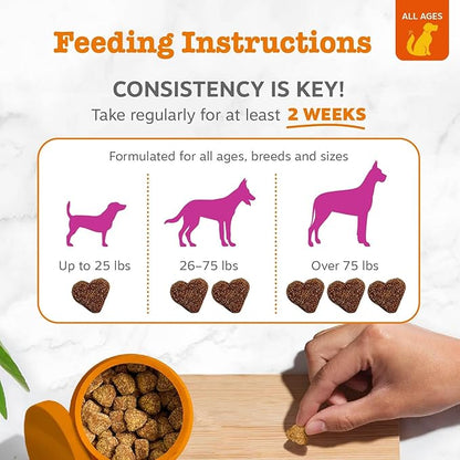 Zesty Paws Hip and Joint Supplement for Dogs - Glucosamine with Chondroitin, MSM, Vitamins C and E Dog Joint Relief - Mobility Bites Duck – 90 Count