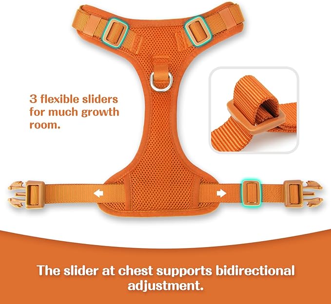 No Pull Dog Harness for Small Medium Large Dogs - Adjustable 2 Layer Mesh Dog Vest with Dual Clip, Escape Proof, Quick Release, Lightweight Breathable Mesh for Walking Hiking (Orange,M)
