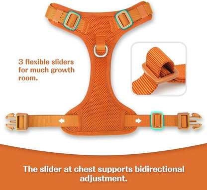 No Pull Dog Harness for Small Medium Large Dogs - Adjustable 2 Layer Mesh Dog Vest with Dual Clip, Escape Proof, Quick Release, Lightweight Breathable Mesh for Walking Hiking (Orange,M)