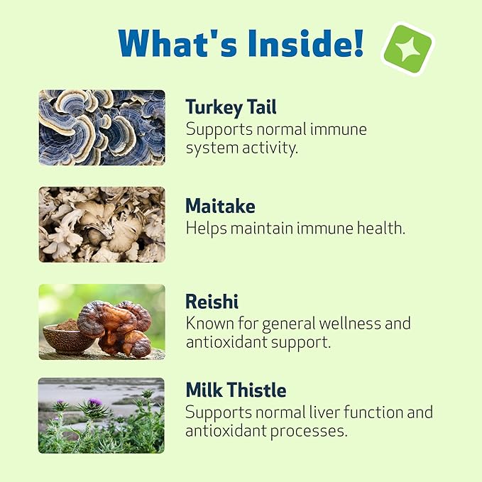 Pet Wellbeing Mushroom Immune Gold for Dogs - Vet-Formulated - Complementary Immune Support with Reishi, Maitake, Turkey Tail - Functional Mushroom Supplement 8 oz (237 ml)