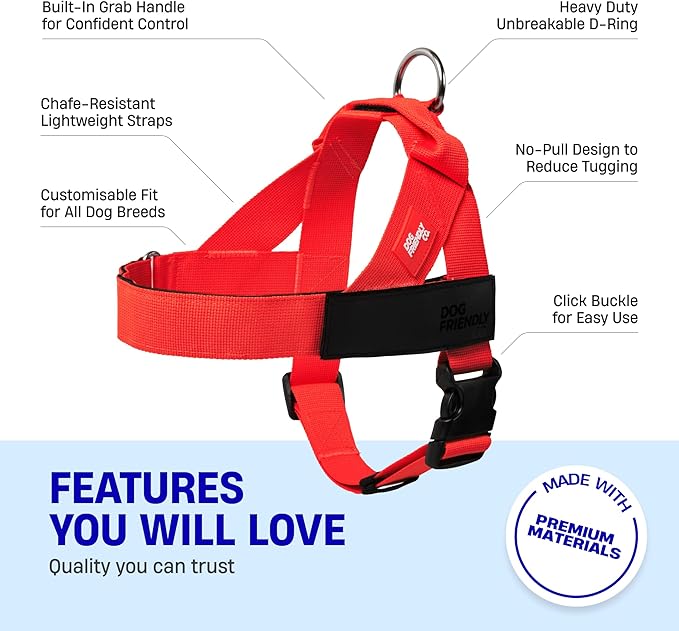 DF Co. Dog Harness | Chafe Resistant Webbing, Adjustable Neck & Chest, and Heavy Duty D-Ring | Sturdy, Comfortable, Easy to Use | Red, Size XL