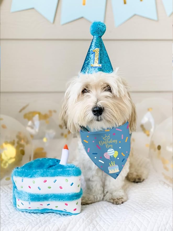 Birthday Boy Dog Bandana Puppy Scarf, Adjustable Triangle Double-Layer Reversible Pet Bandanas for Dogs Boy Birthday Party XL