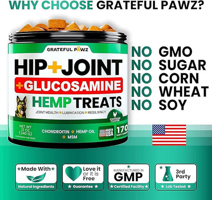 (2 Pack) Hemp Hip and Joint Supplement for Dogs - Glucosamine for Dogs - 340 Joint Pain Relief Treats - Chondroitin, MSM, Hemp Oil - Advanced Health Supplement - Mobility Support Chews - Made in USA
