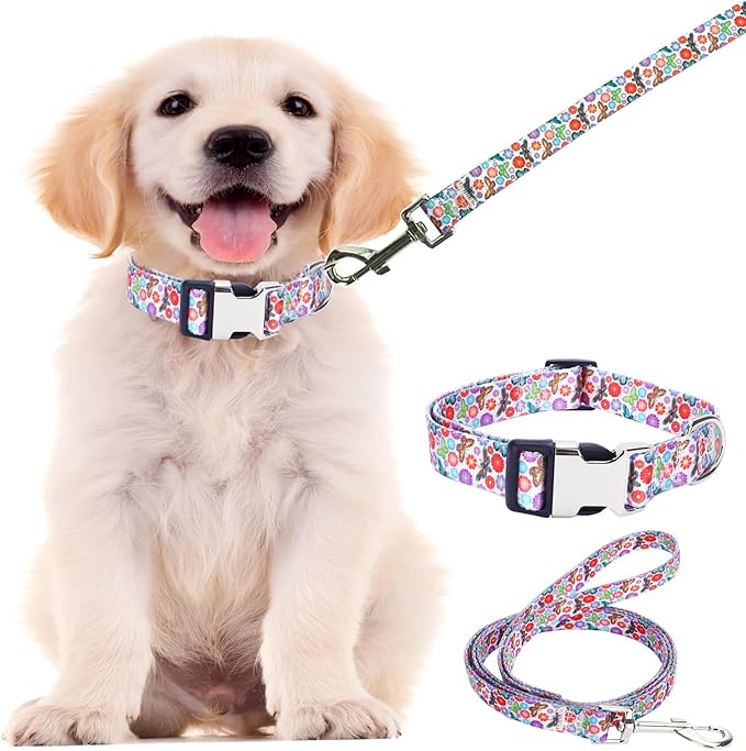 Small Dog Collar and Leash Set, Pretty Design Print Colorful Flower and Butterfly Pet Collars for Small Medium Large Breed Female Dogs Girls Cats, S