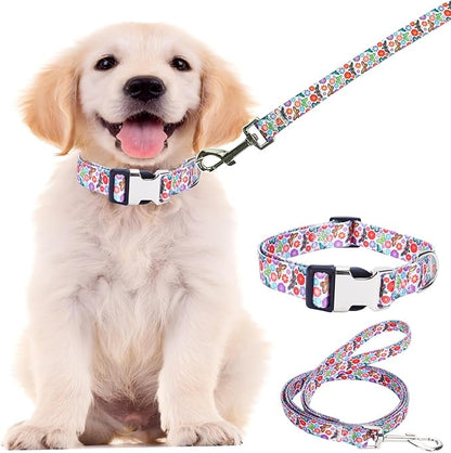 Small Dog Collar and Leash Set, Pretty Design Print Colorful Flower and Butterfly Pet Collars for Small Medium Large Breed Female Dogs Girls Cats, S