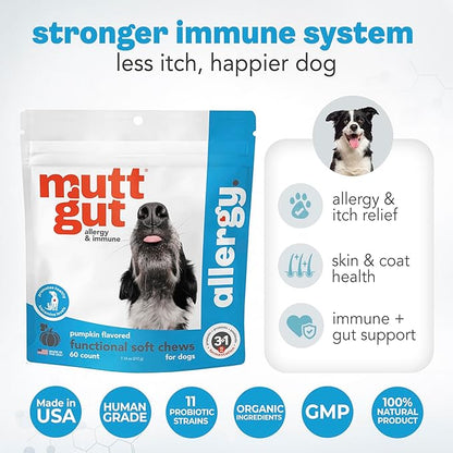 MuttGut® Dog Allergy and Immune Chews - Itch Relief for Dogs with Skin & Coat Support - Allergy Relief for Dogs Itching & Licking - Pet Allergy Chews for Seasonal Allergies - 60 Soft Chews