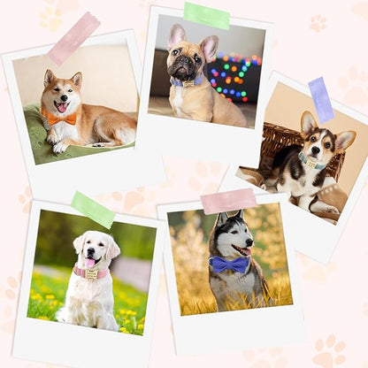 Custom Personalized Dog Collars with Pet Name/Phone Number Engraved Gold Metal Buckle - Adjustable Sizes Soft Stripe Velvet Collar for Small Medium Large Dogs - Dog Leash and Bow Tie Available