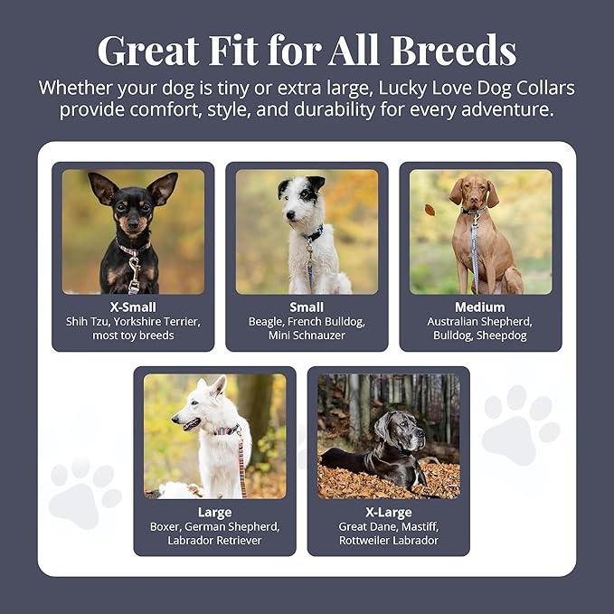 Lucky Love Dog - Easy Click Buckle Dog Collar with Leash Set Combo, Durable & Comfortable for Male & Female Dogs, Pet Collar for Small to Large Dogs, Secure Fit - Floral Rosie Combo, Small