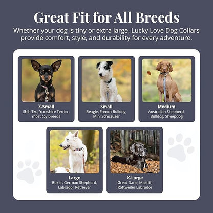 Lucky Love Dog - Easy Click Buckle Dog Collar with Leash Set Combo, Durable & Comfortable for Male & Female Dogs, Pet Collar for Small to Large Dogs, Secure Fit - Floral Rosie Combo, Small