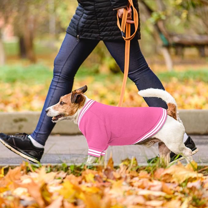 Dog Sweaters for Small Dogs, Brushed Fleece Dog Sweater Baseball Jacket Pet Clothes Soft Warm Sweatshirt Puppy Sweater Boy Girl Pet(Pink-S)