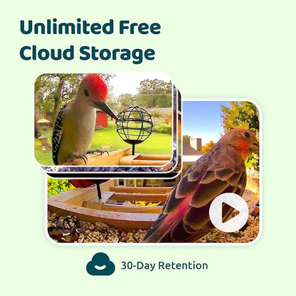 Birdfy Smart Bird Feeder with Camera, High-End Bamboo, Solar Powered, 2K HD Live Stream, Auto Capture Birds & Notify in Time, AI Recognition, Ideal Present for Bird-Watching&Learning