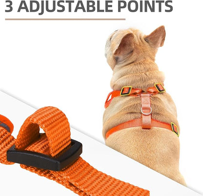 PUPTECK Small Dog Harness and Leash Set, No Pull Adjustable Puppy Cat Harness, Reflective Soft Mesh Pet Vest Small Sized