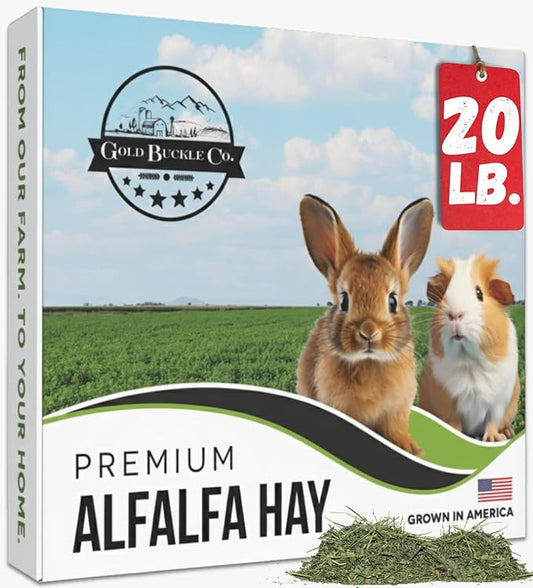 Gold Buckle Co 20lb Farm Fresh, USA Grown, Organic Alfalfa Hay for Rabbits, Guinea Pigs, Chinchillas, Goats, Hamsters & Ferrets - Small Animal Food Rich in Protein & Fiber - Just Dried, Hand-Selected
