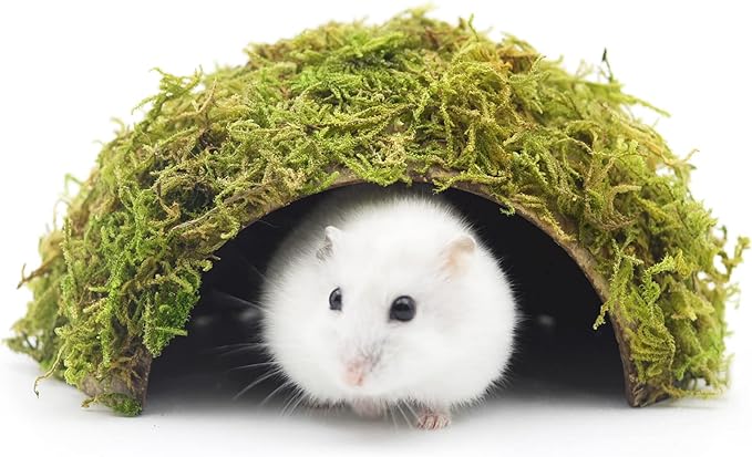 SanmooAio Hamster Hideaway/Hideout,Mossy Cave Hide,Hamster House/Hides,Hamster Cage Accessories for Gguinea Pig/Hedgehogs/Gliders/Rats/Mice and Other Small Animals (Small)