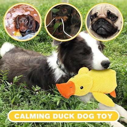 2025 New Calming Duck for Dogs, Quack-Quack Duck Dog Toy with Soft Squeaker, Durable Yellow Stuffed Dog Toy, Indoor Puppy Chewers (2PC B)