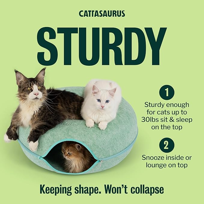 Cattasaurus Peekaboo Cat Cave, Extra Spacious for Multiple & Large Cats 15+ lbs, Scratch Detachable Cat Beds for Indoor Cats, Washable Tunnel Bed, Comfy Donut Tunnel (Sage Mist, Jumbo)