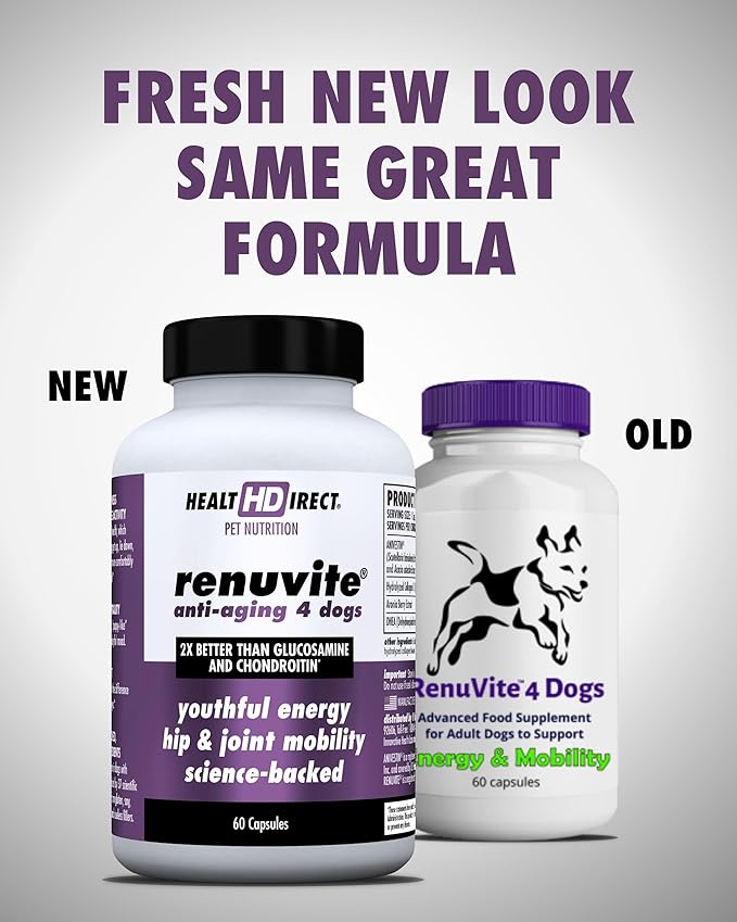 Health Direct – RenuVite 4 Dogs | Hip & Joint Supplement for Senior Dogs | Supports Mobility & Energy | Anivestin, Collagen, Aronia Berry, DHEA | 20-120 Servings, 60 Capsules