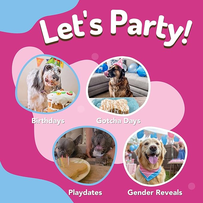 Dog Birthday Cake Kit 6 Flavors - Cake Mix for Dogs, Icing Mix, Large Bone Shape Silicone Pan and 24 Candles, Bake or Microwave By Puppy Cake Mix (Swirl, Pumpkin)