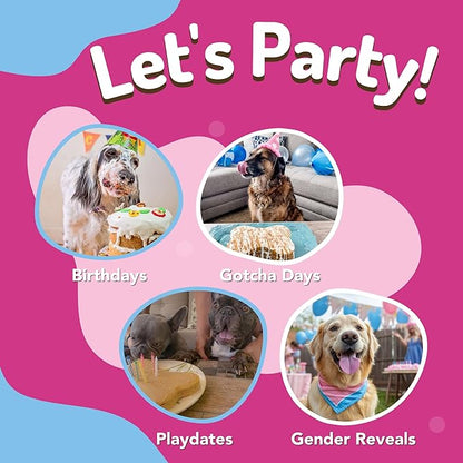 Dog Birthday Cake Kit 6 Flavors - Cake Mix for Dogs, Icing Mix, Large Bone Shape Silicone Pan and 24 Candles, Bake or Microwave By Puppy Cake Mix (Swirl, Pumpkin)