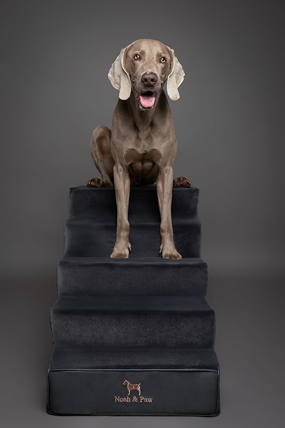 Noah & Paw Dog Stairs, Dog Ramp for Bed (20" Extra Wide) Pet Stairs for High Bed, Design to Fit Small and Large Breeds, Durable 5 Pet Steps for Couch (35 Foam Density) Leather Collection