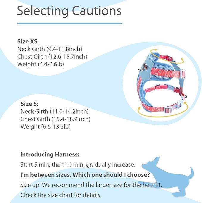 Small Durable Dog Harness with Leash Set, Cute Mesh Puppy Harness, No Pull No Choke Escape Proof Pet Harness Easy Walking, Blue Crush S