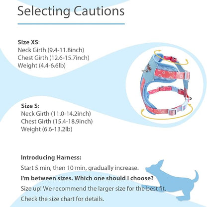 Small Durable Dog Harness with Leash Set, Cute Mesh Puppy Harness, No Pull No Choke Escape Proof Pet Harness Easy Walking, Blue Crush S