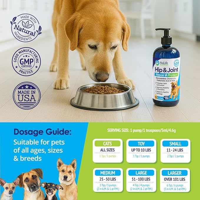 Liquid Glucosamine for Dogs - Advanced Joint Supplement for Dogs Ages with Chondroitin, MSM & Hyaluronic Acid - Repairs & Protects Joints, Supports Mobility & Pain Relief - 16oz