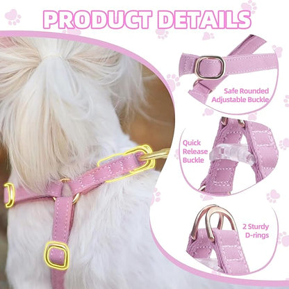 PUPTECK Dog Harness and Leash Set Small Sized, Step-in Cute Puppy Harness, Soft Lightweight Padded Vest, Escape Proof No Pull Pet Harnesses Easy for Walking, Purple, XS