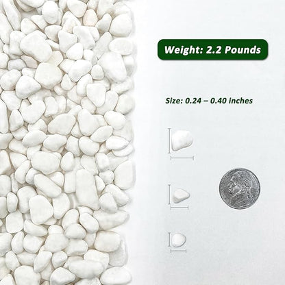 BXI 2.2 Lbs Small Aquarium Substrate Gravel Sand, Polished Smooth Fish Tank Gravel, Colorfast Uncoated White Natural Pebbles, Decorative Stones for Vase Fillers, Fairy Garden, Potted Plants